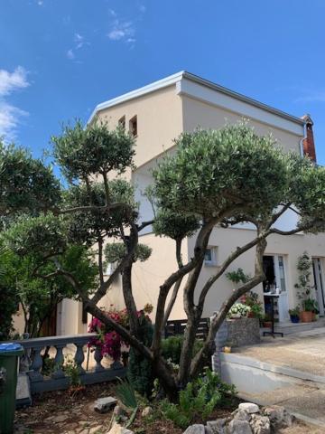 Taverna Coctel Poreč Exteriér fotografie